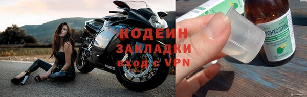 бошки Бородино