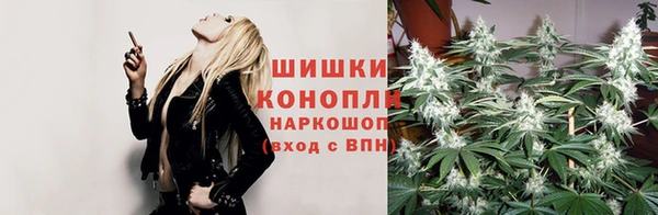 бошки Бородино