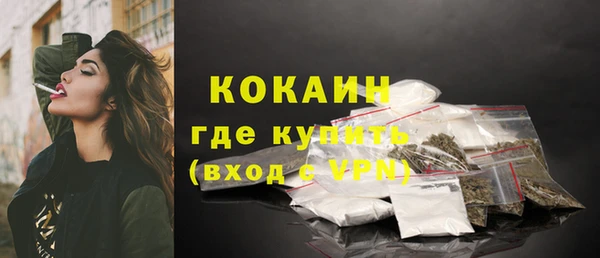 сатива Бронницы