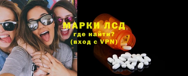 бошки Бородино