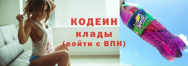 бошки Бородино