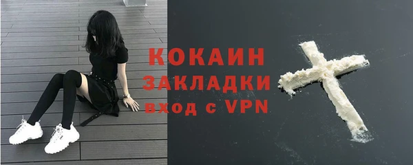 сатива Бронницы