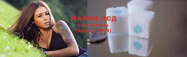 бошки Бородино
