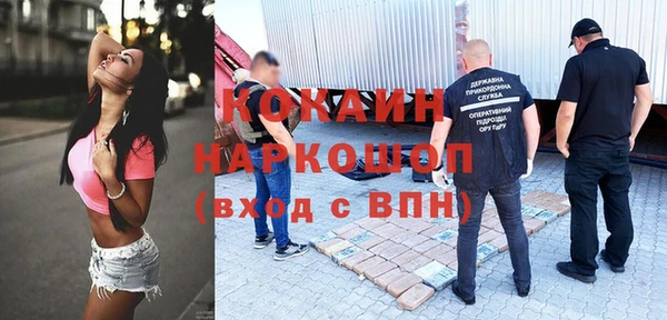 сатива Бронницы