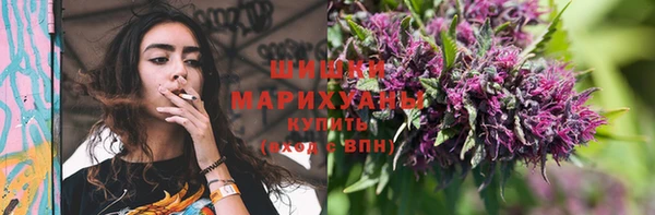 сатива Бронницы