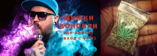 бошки Бородино