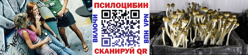 Галлюциногенные грибы ЛСД  Вичуга 